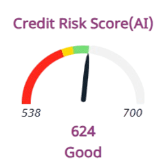 AI Credit Risk Score